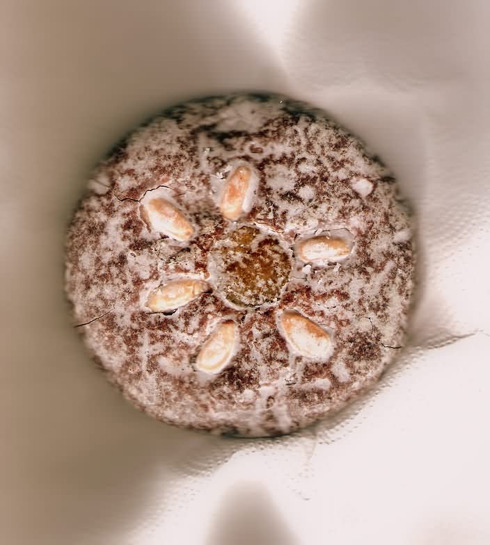 Nuremberg Gingerbread with almonds