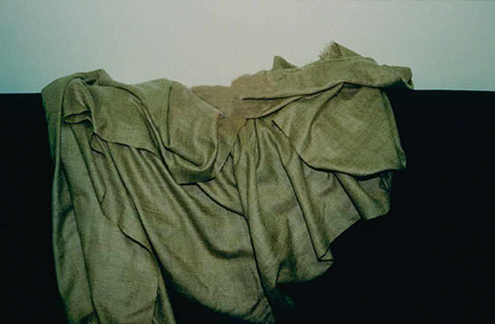 Shahtoosh Shawl