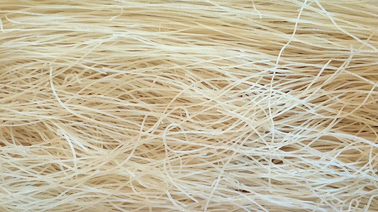 closeup picture of rice vermicelli