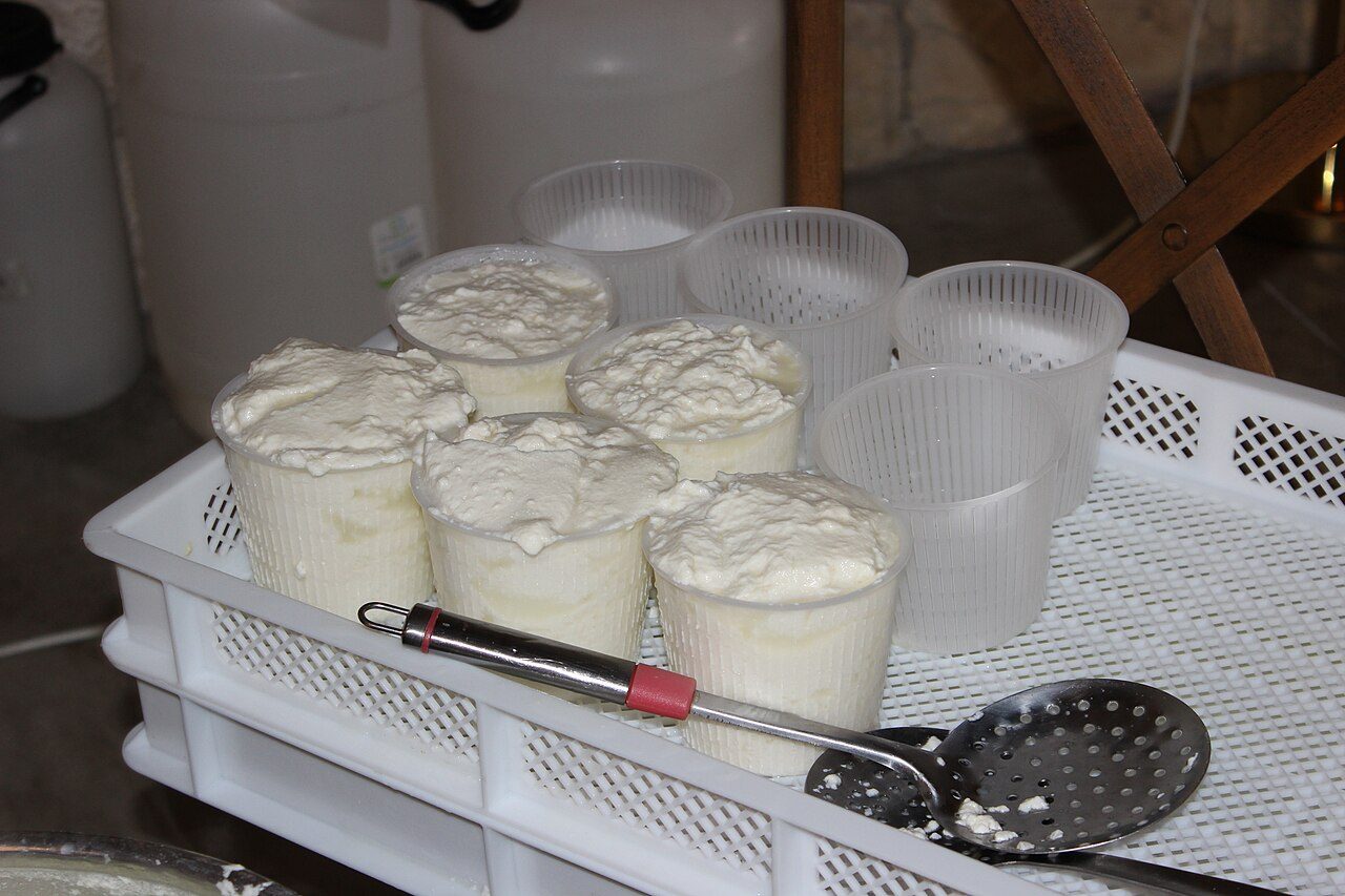 Ricotte fresche nelle vascedde.