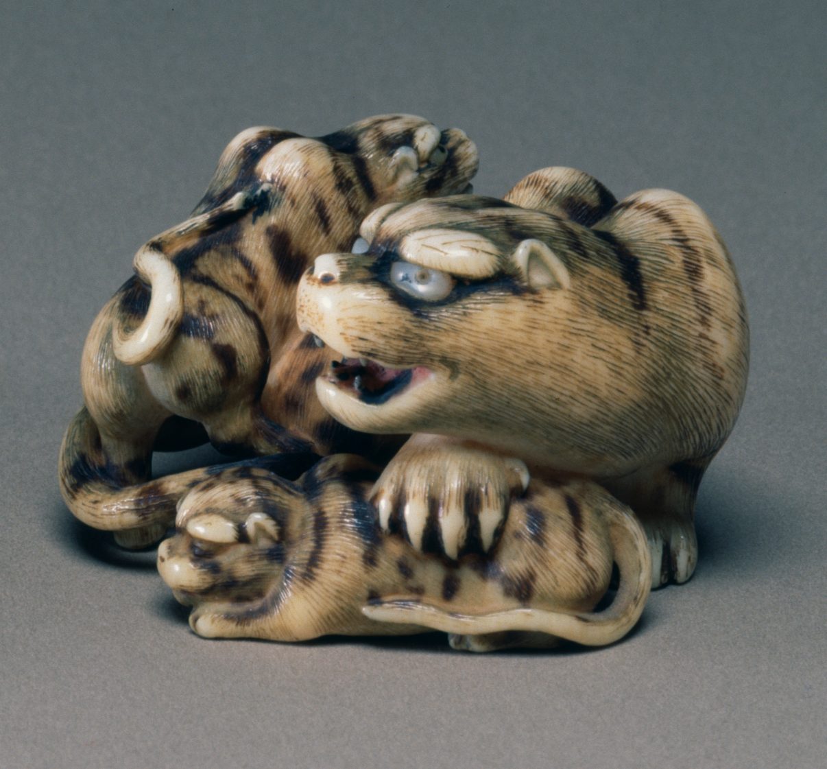 Tigress with Two Cubs