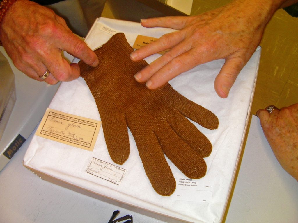 Knitted sea-silk glove from Taranto, Italy. Probably late 1800s