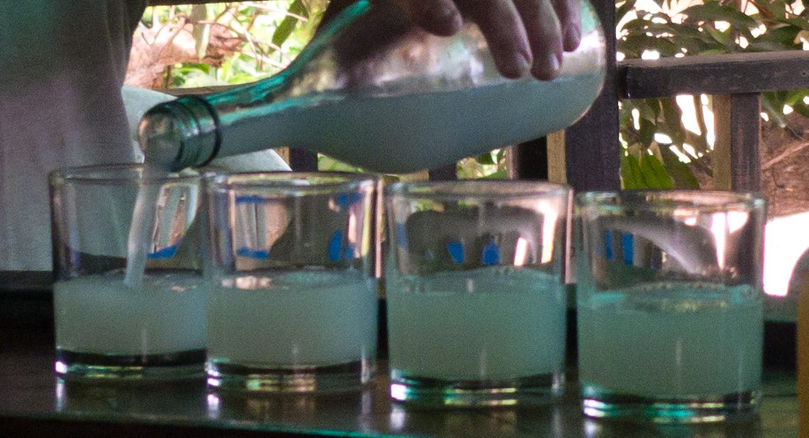 Tuba Alcoholic tree sap from the palm! Must be very fresh or it ferments into vinegar. I really liked it.