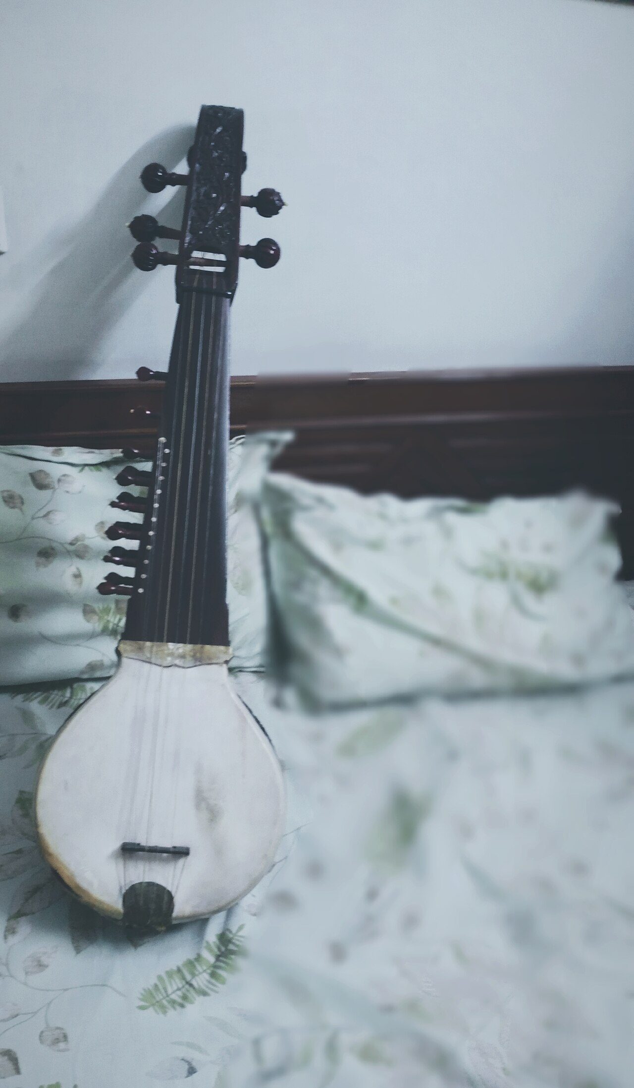 Bhai Mardana was a famous Rabab player, he uses to play Afghani Rabab but when he met Guru Nanak then Guru Nanak prepared a new design of rabab which is now known as firandia rabab or indian rabab