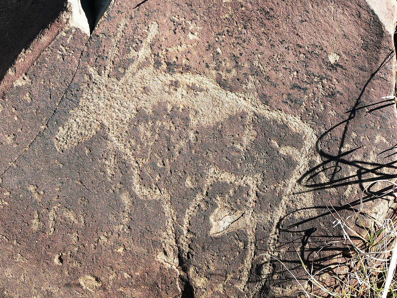 Engraving of a gemsbok from the Wildebeest Kuil Rock Arts Site outside Kimberley South Africa. The site is open to the public and is well interpreted.