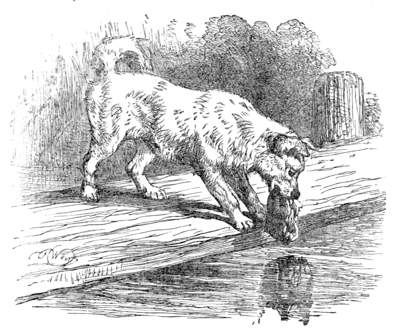 Illustration from a collection of fables