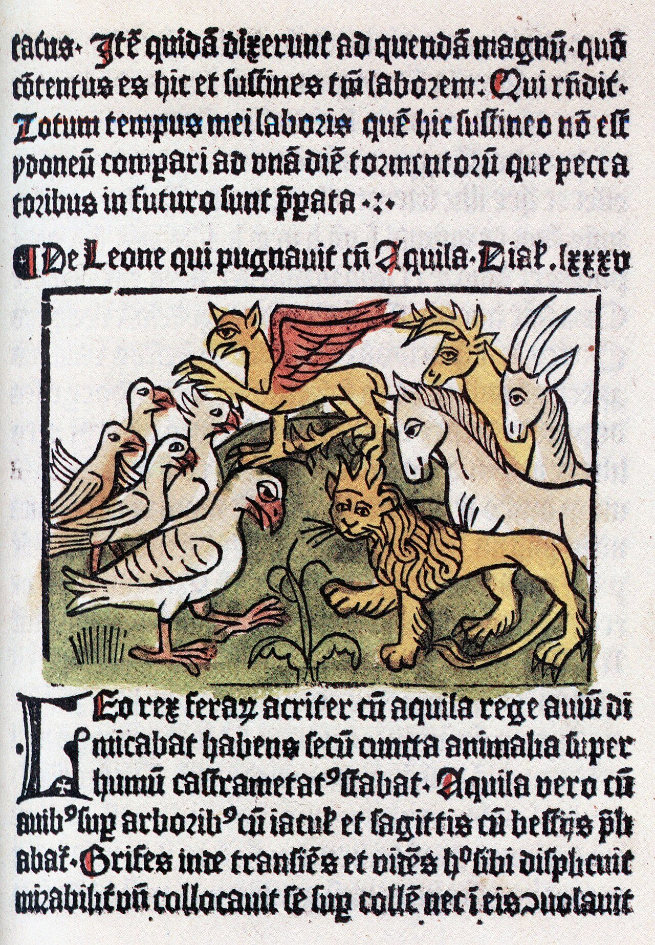 A page from Johann Snells edition of Dialogus creaturum. The first book to be printed in Sweden