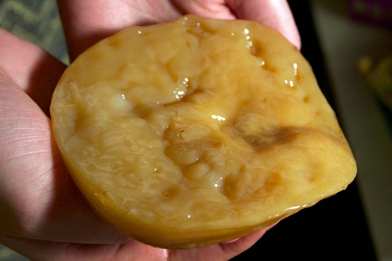 SCOBY pellicle