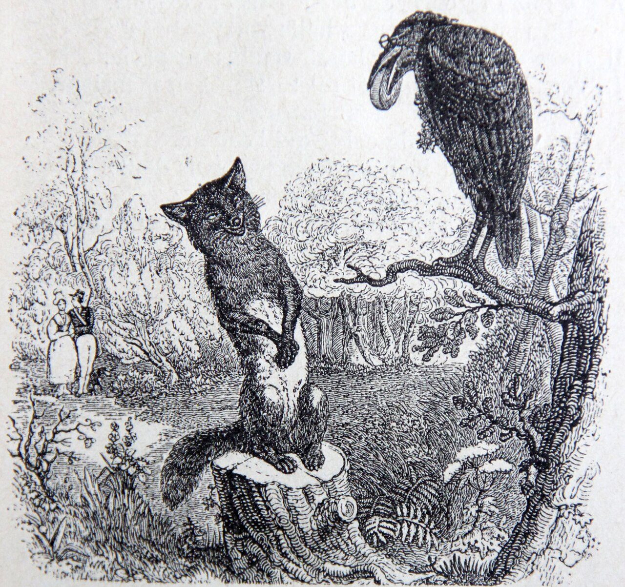 J.J. Grandville . Illustrations des Fables de La Fontaine . 1838-1840.
