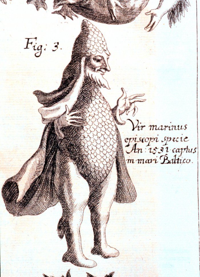A relatively benign merman complete with scales caught in the Baltic Sea in 1531 according to Johann Zahn's sources. In: "Specula physico- mathematico-historica notabilium ac mirabilium sciendorum" by Johann Zahn. published 1696 at Augsburg, Germany. Library Call Number Q155…