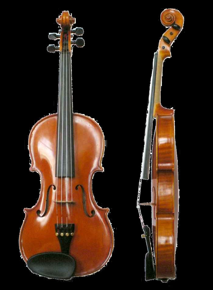 A standard modern trade violin shown from the front and the side