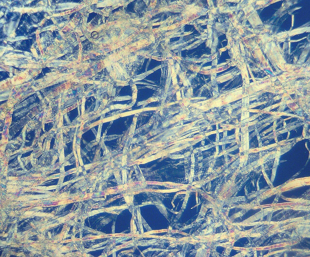 Pulp from a paper bag magnified 200 times with a polarizing filter. Cropped frame ca. 800 × 600 µm.