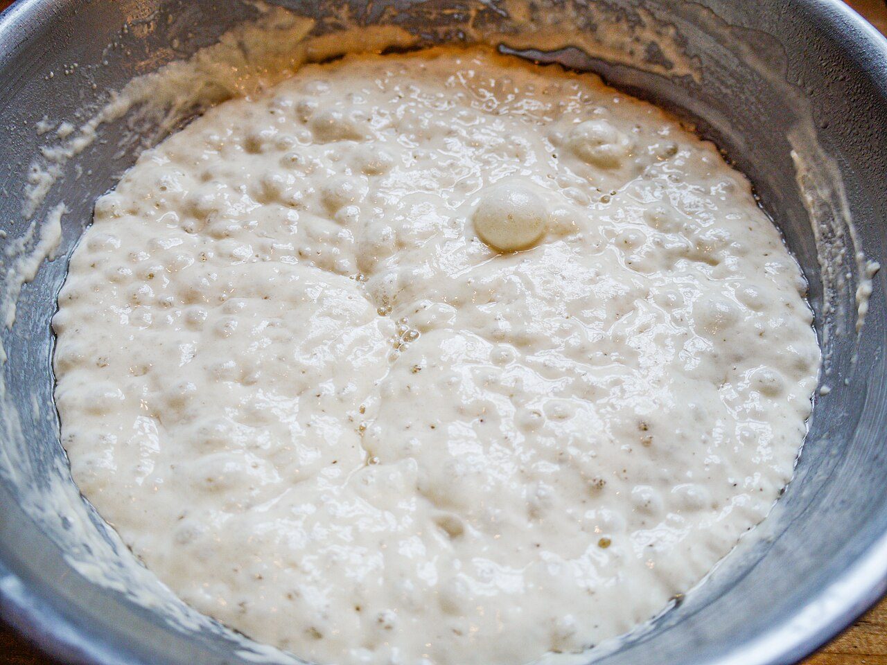 Focaccia - Poolish the next day