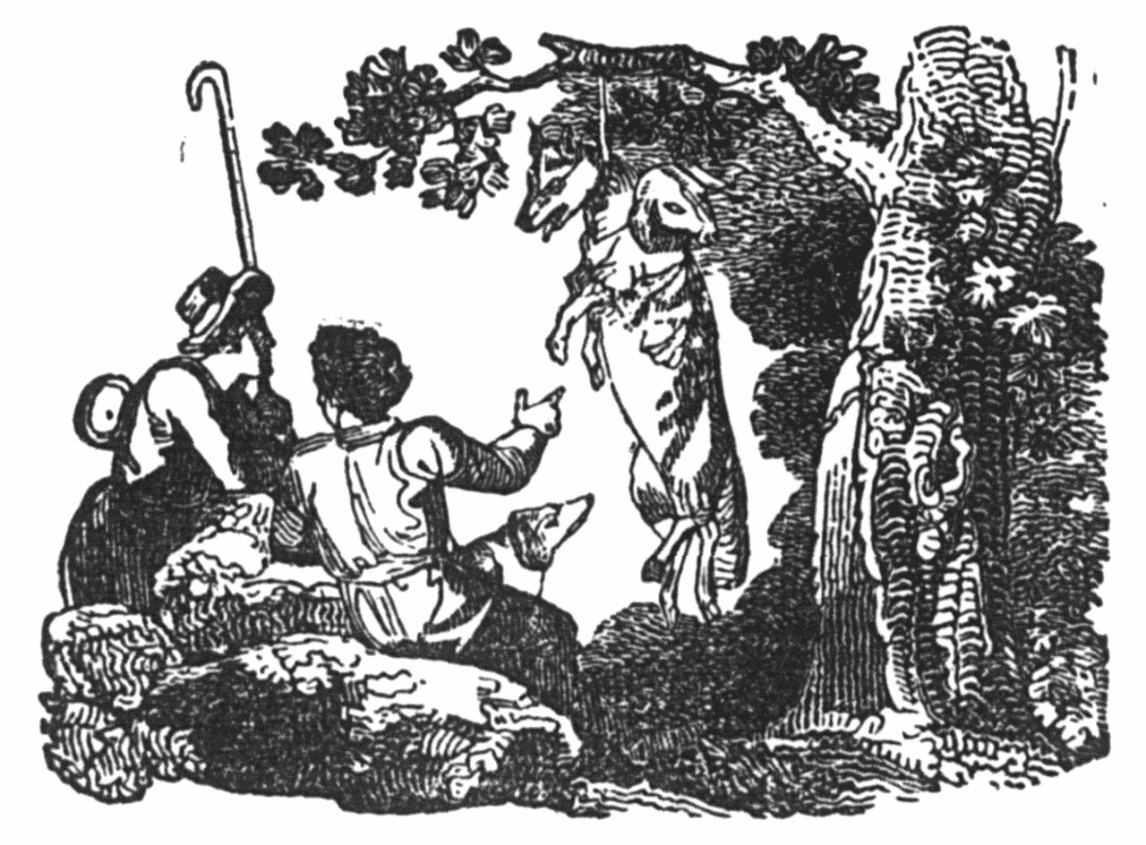 The wolf in sheep's clothing, hanged, is discussed by two shepherds.