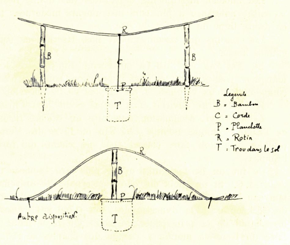 Two types of Vietnamese ground zither trống quân