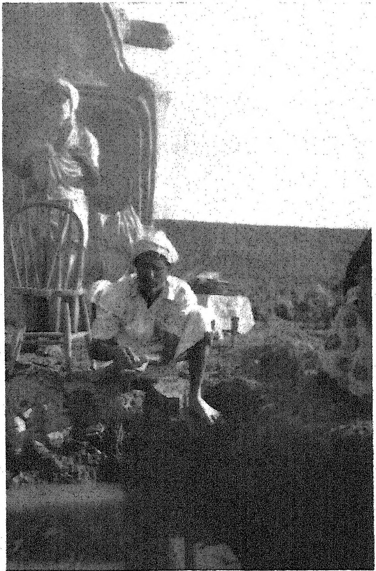 Mixing dough for the pihta