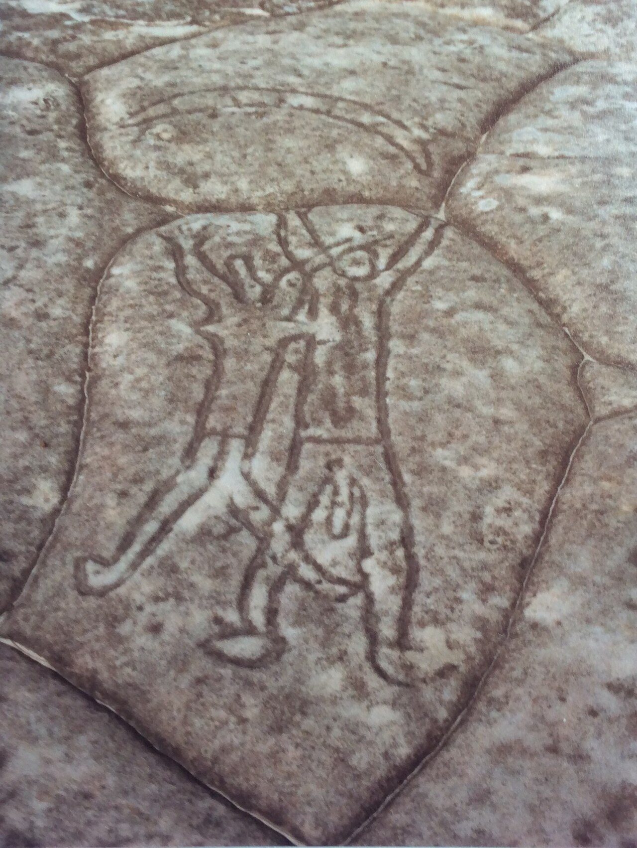 Australian aboriginal rock art, Ku-ring-gai Chase National Park, NSW. Photographed 1982.