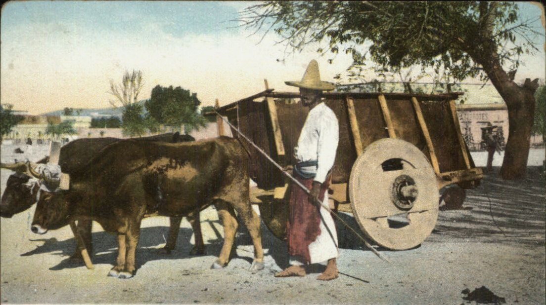 A postcard of a Mexican ox-cart