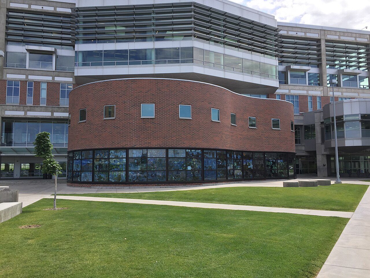 Roots of Knowledge stained glass installation at the Fulton Library at Utah Valley University in Orem, Utah.