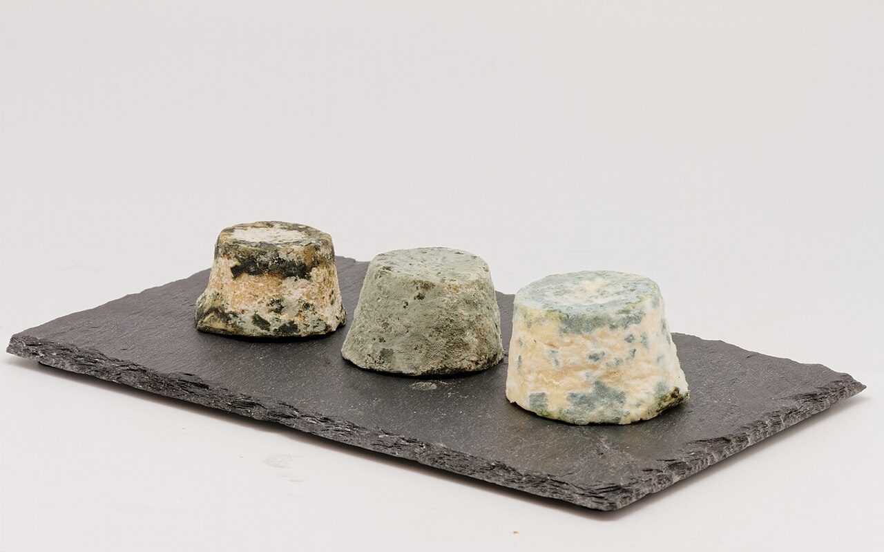 Le Mâconnais, fromage de Saône-et-Loire.