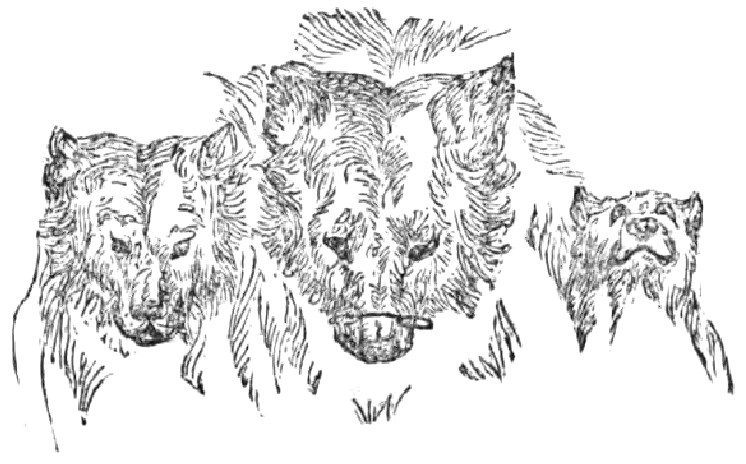 pg 6 of The Story of the Three Bears.