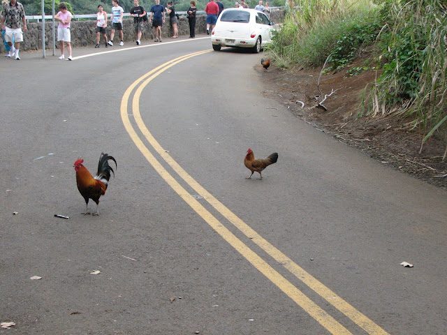 Why did the chicken cross the road?