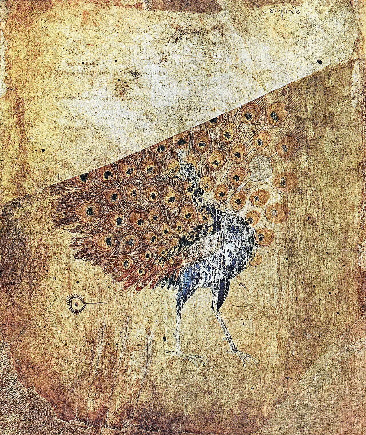 Endpapers from the Vienna Dioscurides .