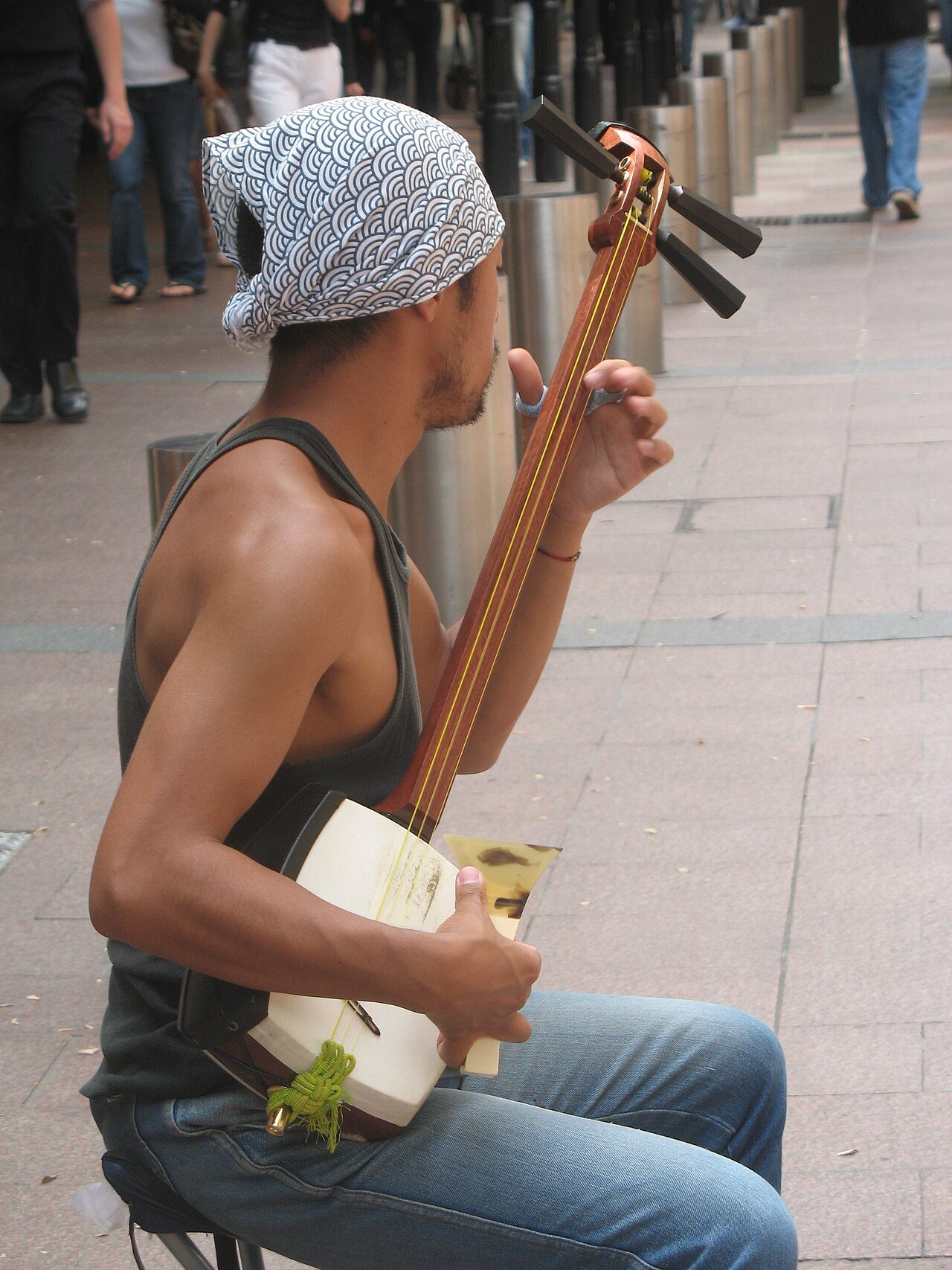 A busker playing a shamisen at a pedestrian mall on Pitt Street, Sydney, Australia, photographed by DO'Neil .