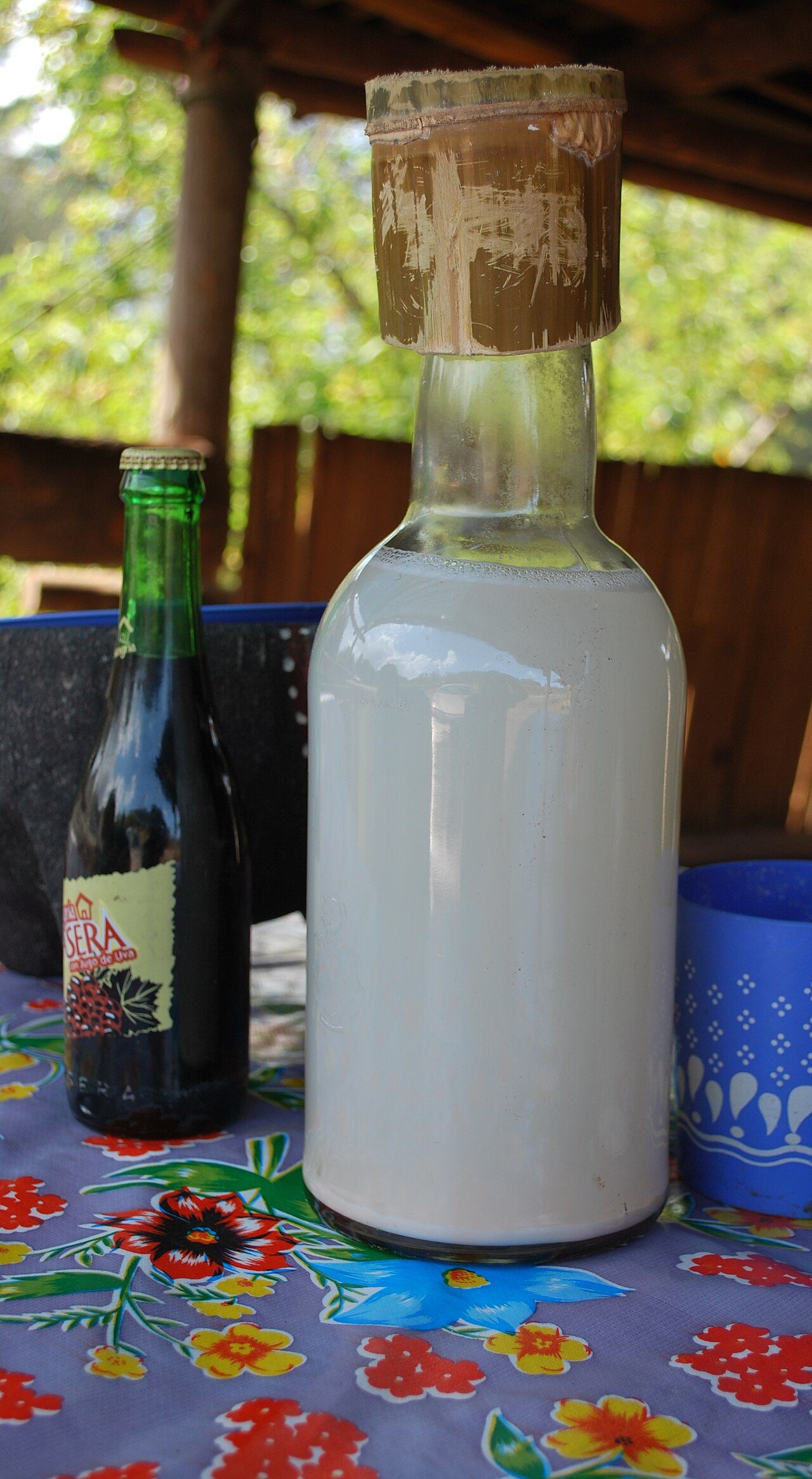 Bottle filled with unflavored pulque at a roadside stand in Zacatlán, Puebla, Mexico