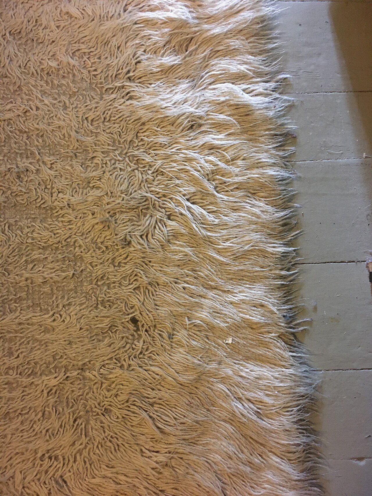 Close-up of a flokati rug