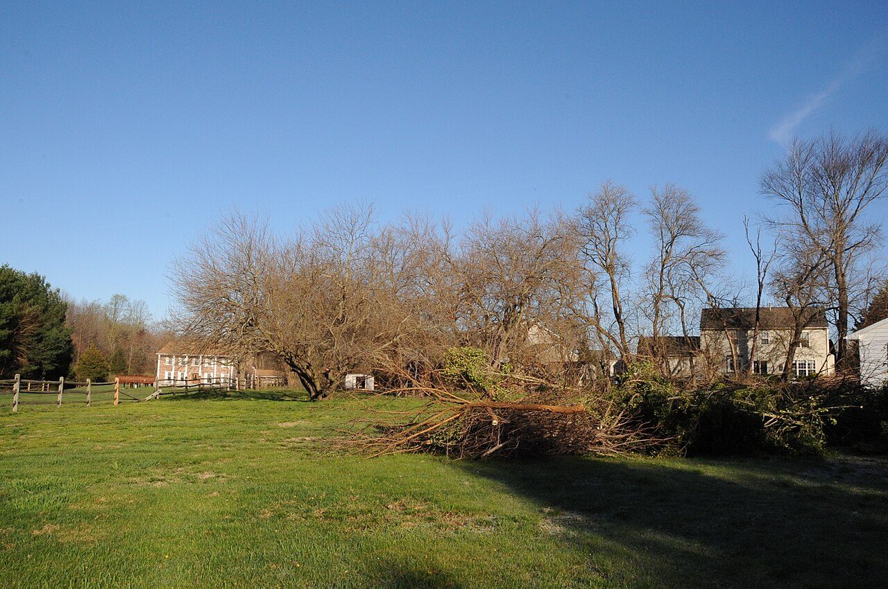 THIS IS THE VIEW FROM THE AREA OF THE SIGN. THE HOUSE IN THE BACKGROUND IS NOT RELATED TO DUNCAN BEARD