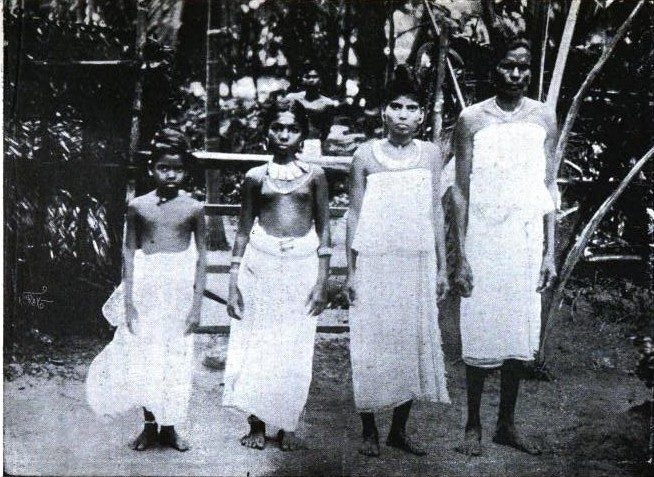Malabar Thiyyar females of different ages in their traditional attire, 1905 from Calicut, published in the book The Ethnographical Survey of the Cochin state by L. Krishna Anantha Krishna Iyer (Diwan Bahadur).