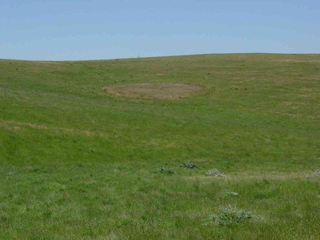 Riddells Road Aboriginal Earth Ring, Sunbury. View from Riddells Road to the north east, earth ring showing clearly as dry grass due to shallow soil. Photograph by Gary Vines