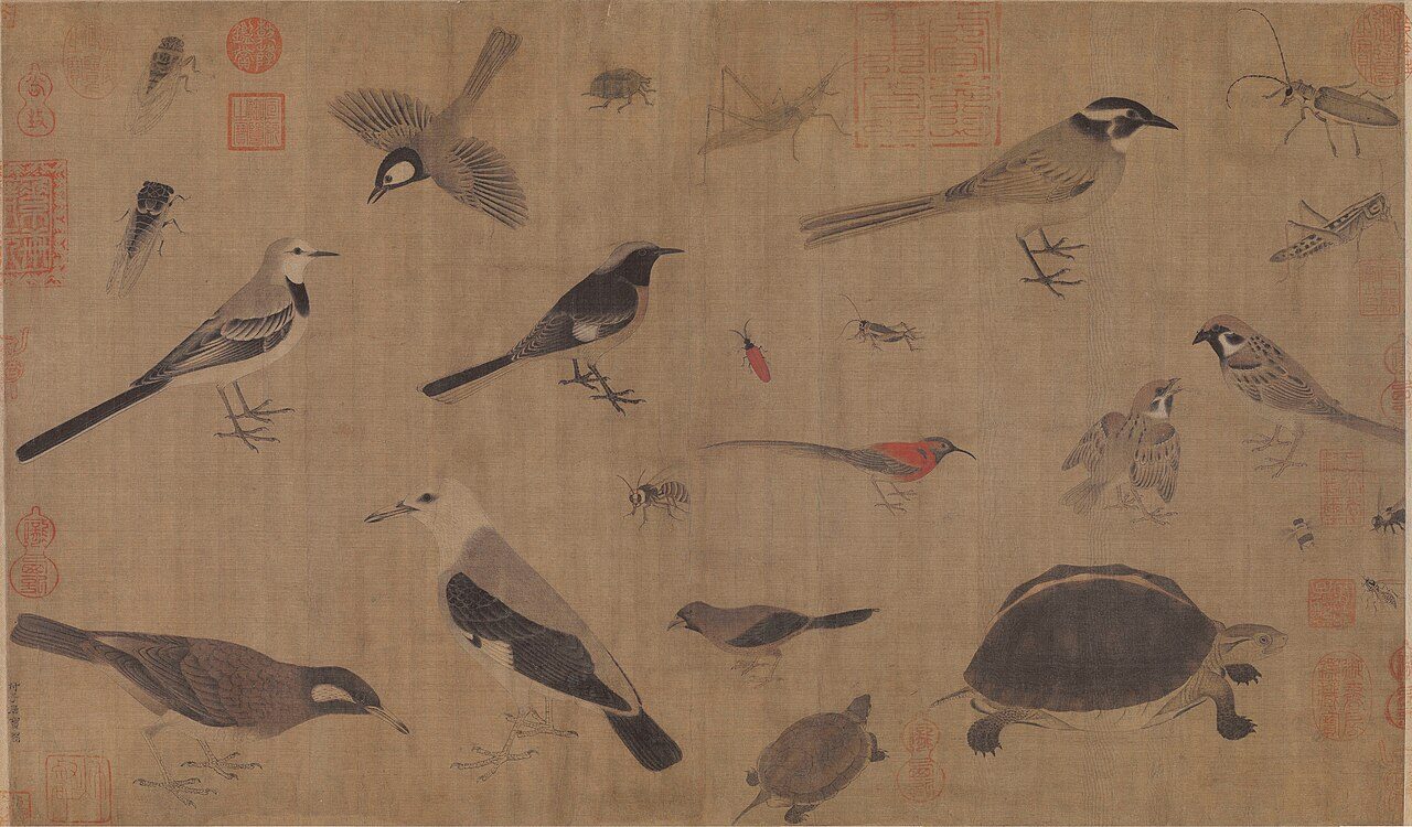 "Sketch of Rare Birds" (写生珍禽图, Xie Sheng Zhen Qiu Tu ) — 41.5 x 70 cm. Sketches of birds, insects and tortoises in ink and color on silk, located at the Palace Museum, Beijing. The art work was created by Huang Quan 黄筌 (c. 903 – 965), a painter of the Five Dynasties and Ten…