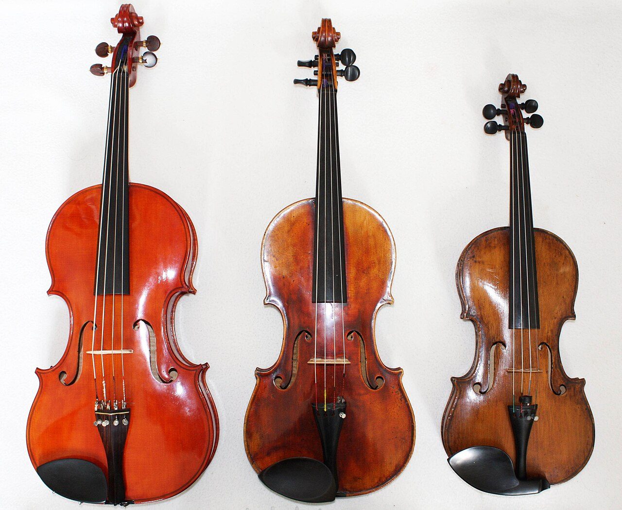 Comparison of Viola Profonda, Viola and Violin