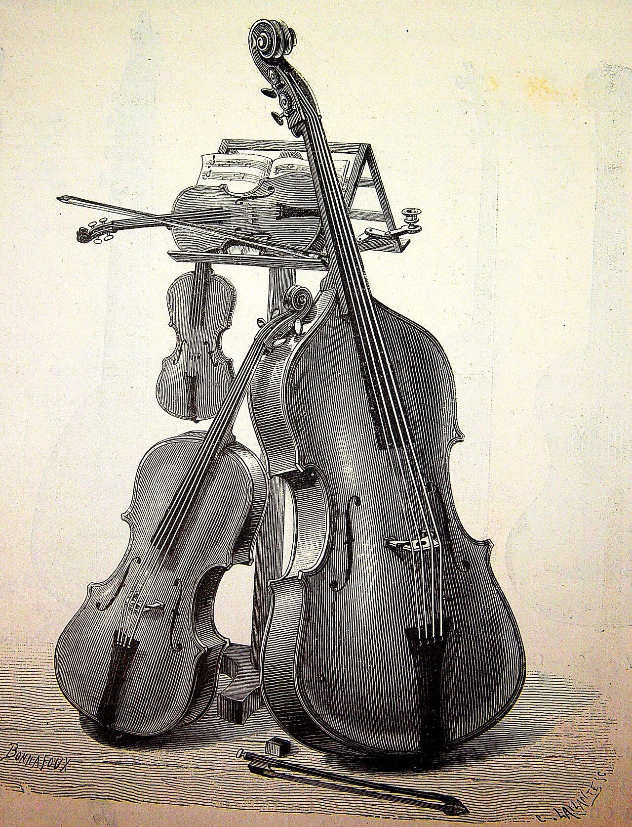 Instruments of the violin family: viola, cello, and contrabass.