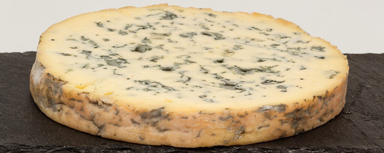 Fourme d'Ambert (cow's milk cheese)
