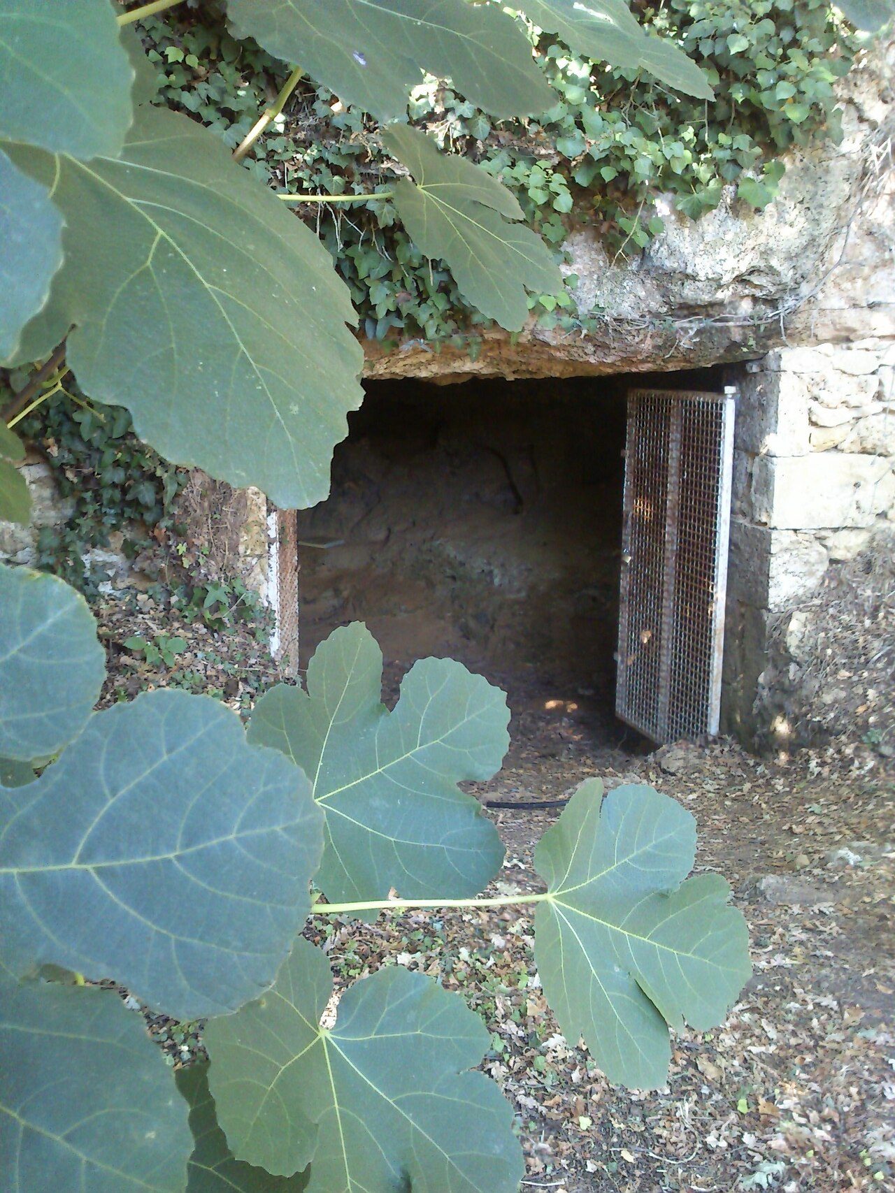 Grotte de La Marche , site préhistorique magdalenien